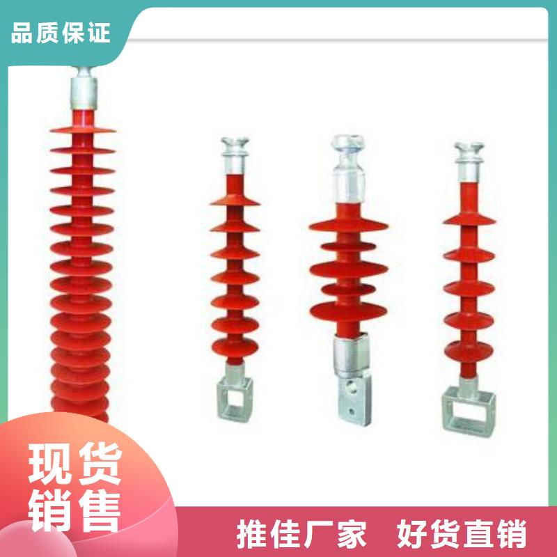 ZSW2-220/850陶瓷绝缘子樊高电气