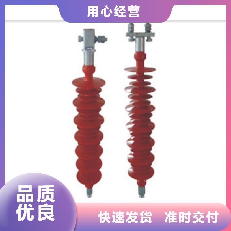 ZJ-10KV/85*140环氧树脂绝缘子