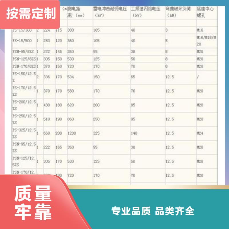 ZJ-35Q120*380环氧树脂绝缘子