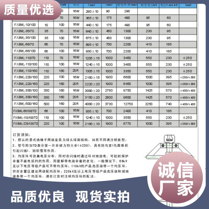 FPA-10/2L18绝缘子樊高