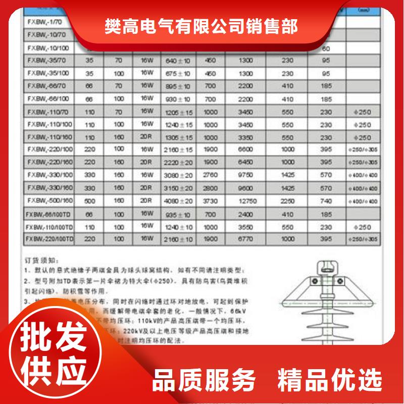 FS4-110/10复合横担绝缘子