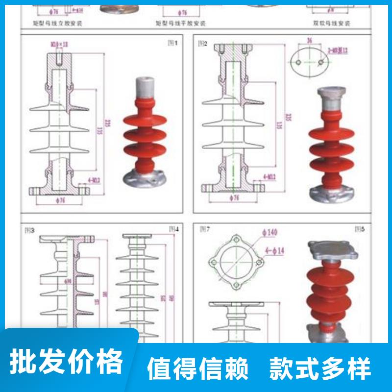 FZSW3-110/8高压硅胶绝缘子