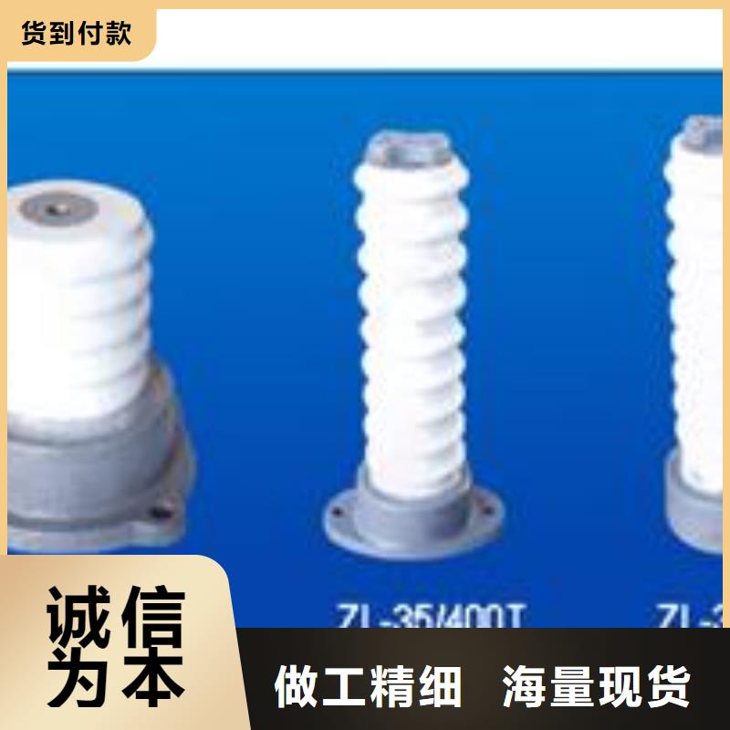 ZJ-10KV/85*140环氧树脂绝缘子