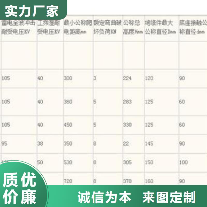 FZSW3-126/10复合绝缘子