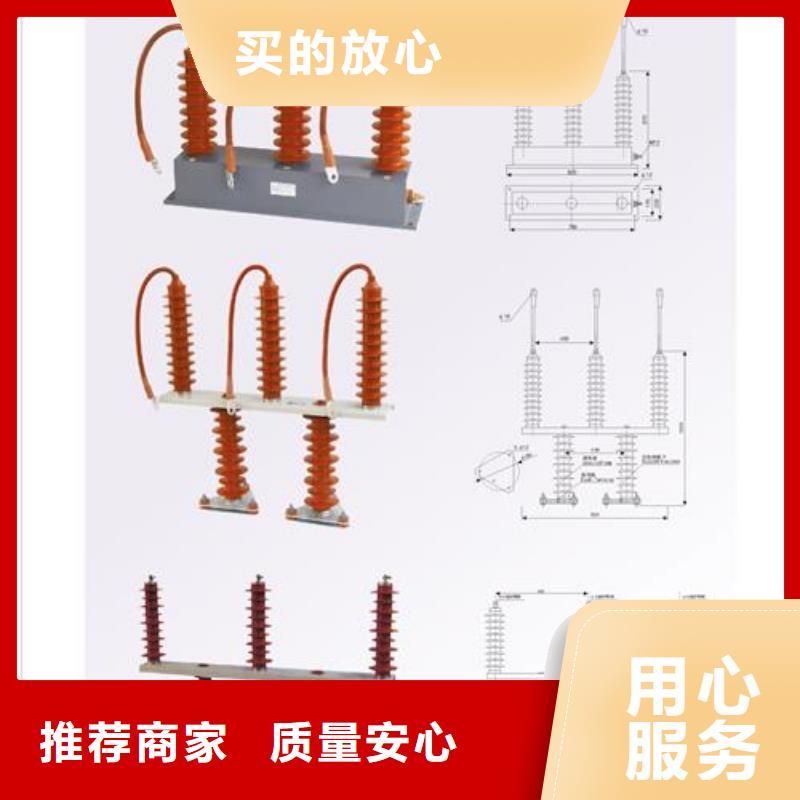 TBP-C-12.7F/131组合式避雷器樊高电气