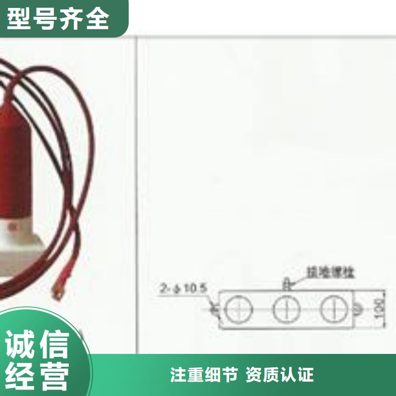 TBP-C-3.8F/131三相组合式避雷器