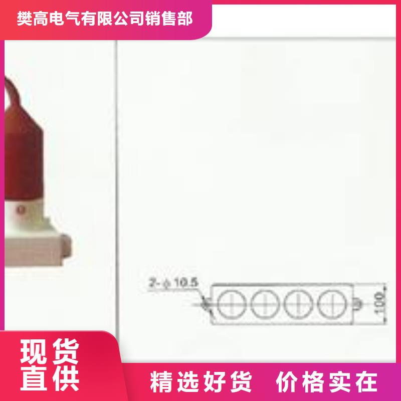 TBP-B-42/310F三相组合式过电压保护器樊高电气