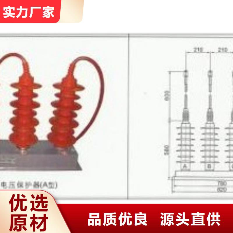 TBP-A-42F/400W1过电压保护器