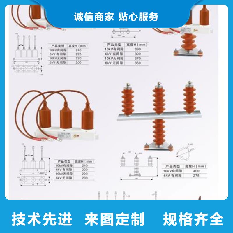 TBP-B-7.6/131F组合式避雷器