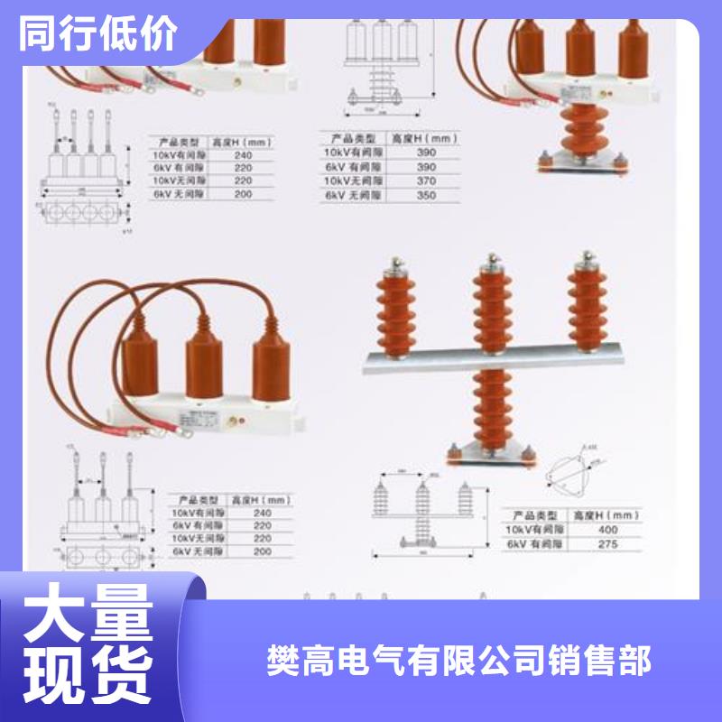 TBP-C-42F/310组合式保护器