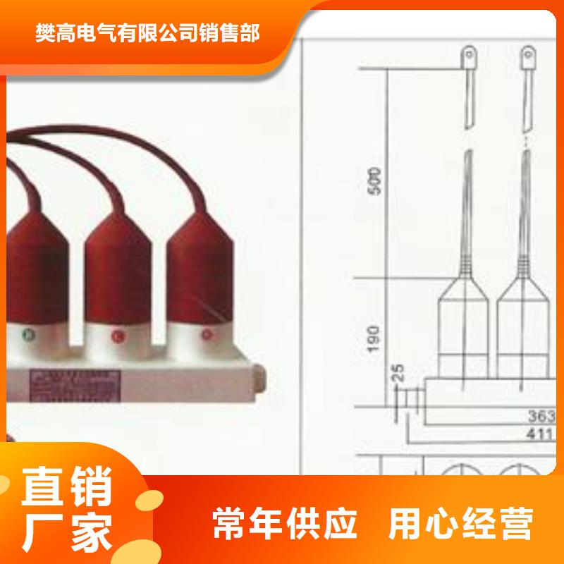 SCGB-A-12.7F/85中性点氧化锌避雷器