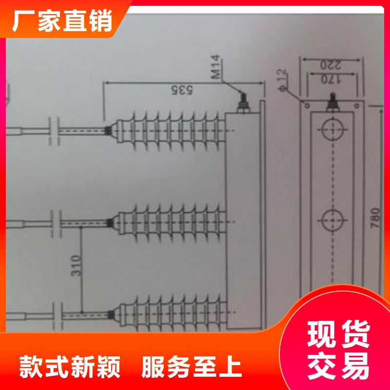 TBP-B-35/310三相组合式过电压保护器樊高电气