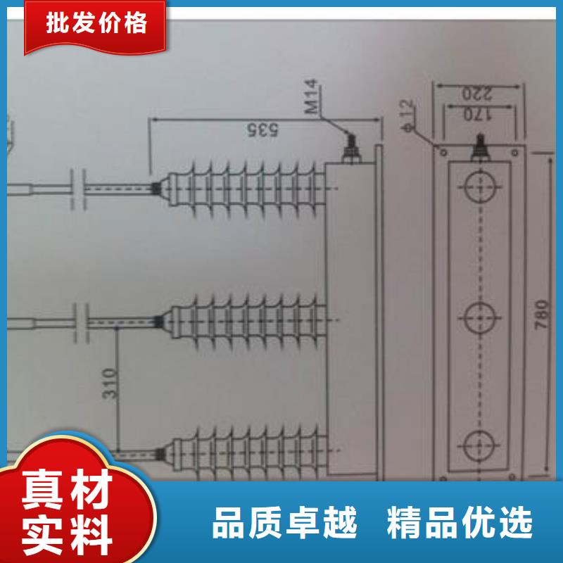 TBP-B-42/310F三相组合式过电压保护器樊高电气