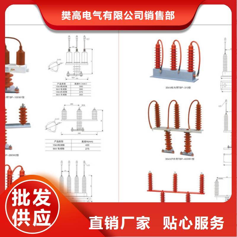 TBP-B-42避雷器用保护器