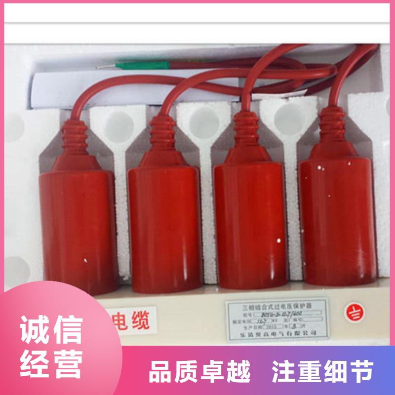 TBP-A-42F/400W1间隙过电压保护器