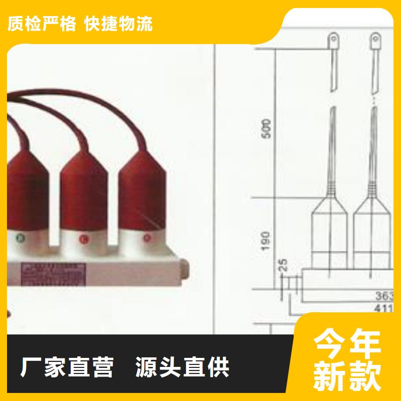 YH5WZ-17/45X2组合式避雷器