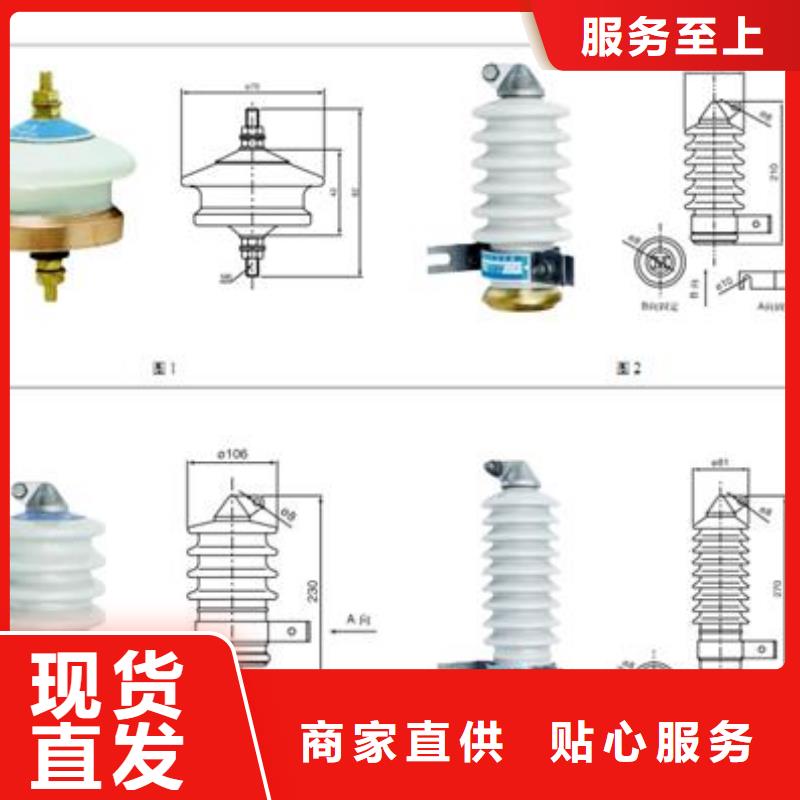 TBP-A-6.3F/85过电压保护器