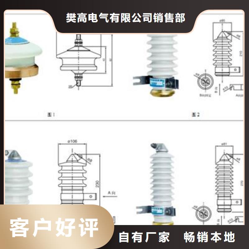 TBP-A-12.7F/150串联间隙过电压保护器