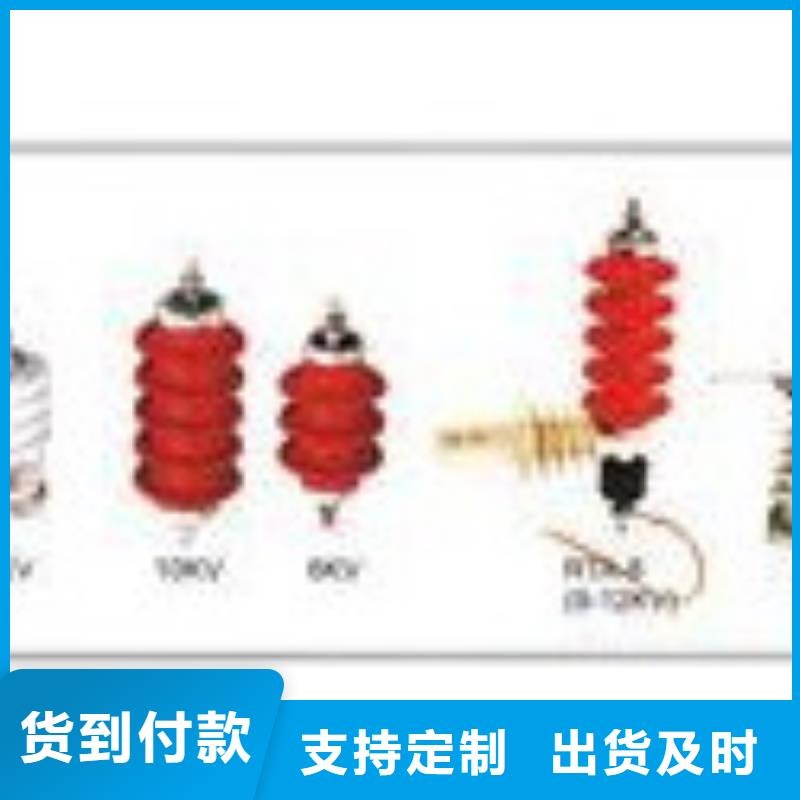 TBP-A-42F/200三相组合式氧化锌避雷器