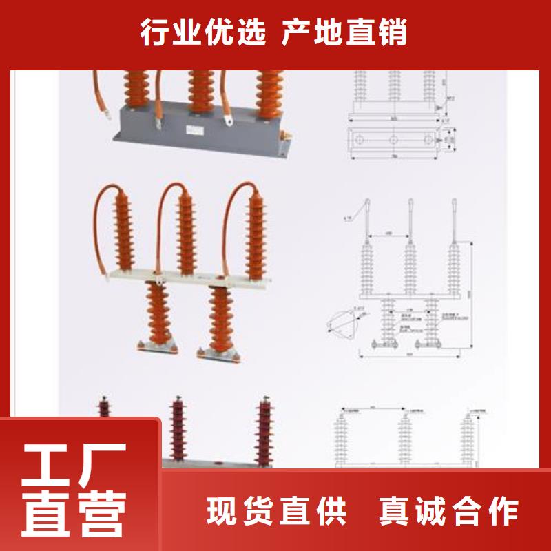 YH5CZ-12.7/38X2组合式避雷器