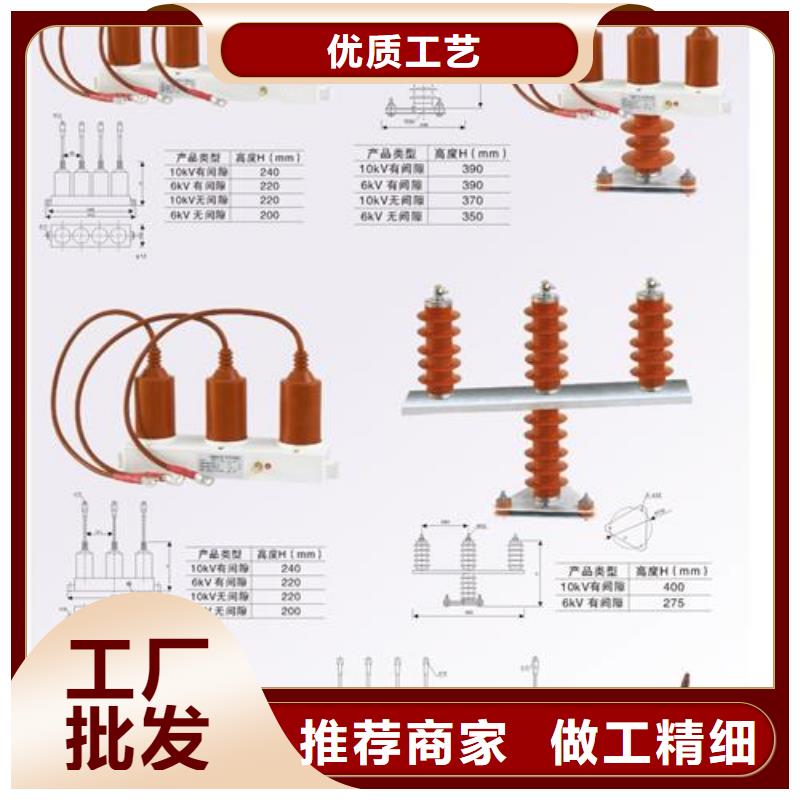 TBP-C-42F/400W组合式过电压保护器