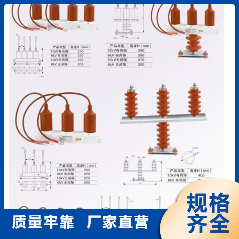 TBP-C-7.6/131避雷器用保护器