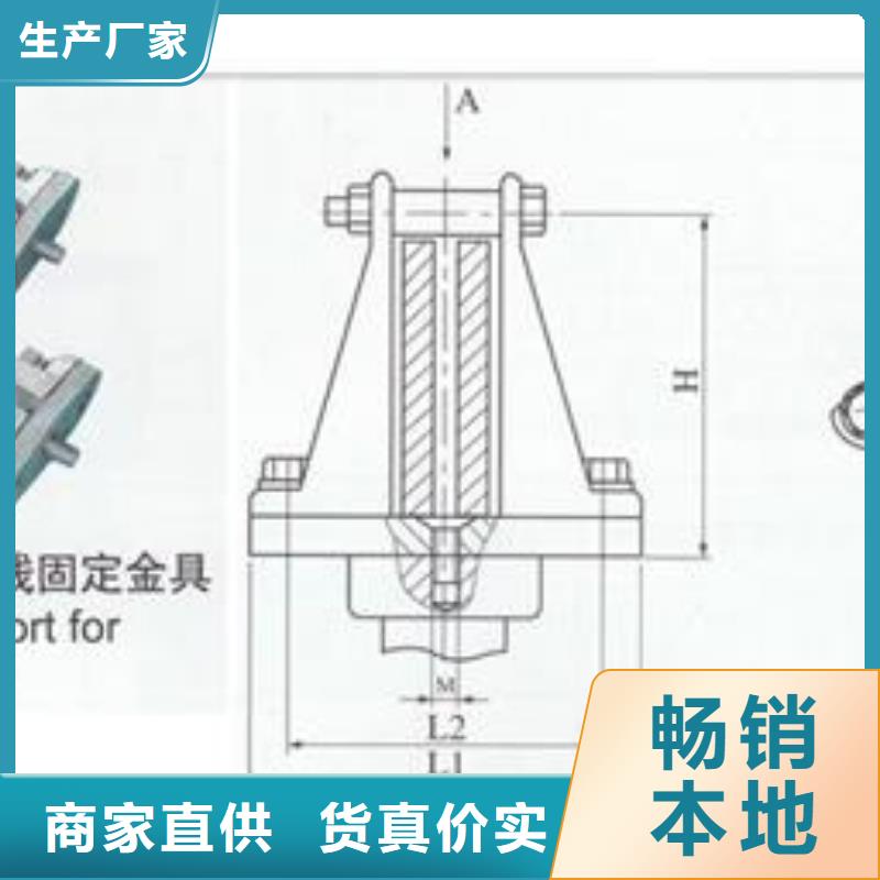 TMY-3*20母线樊高