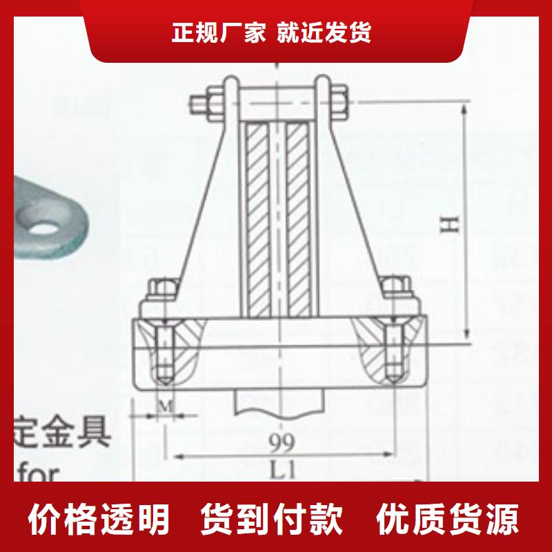 TMY-40*5高压母线樊高