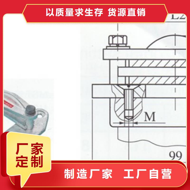 TMY-60*6铜排樊高