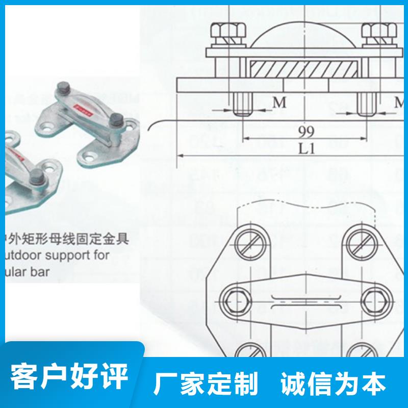 TMY-50*5高压母线樊高