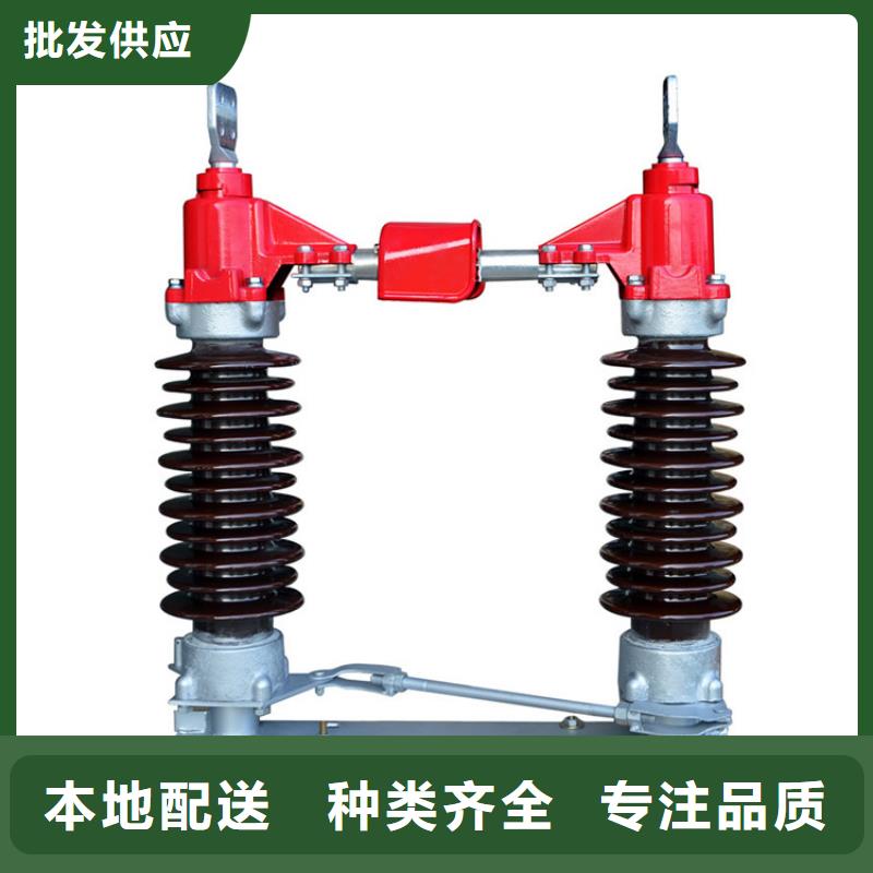 隔离开关氧化锌避雷器专业生产N年