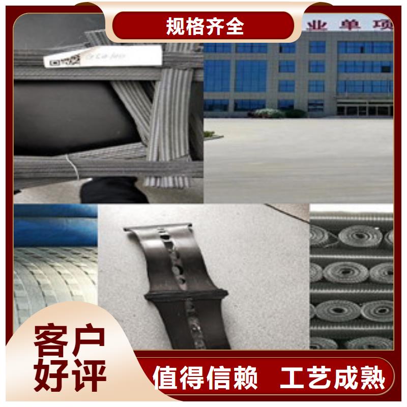 【双向塑料格栅】三维植被网专业厂家
