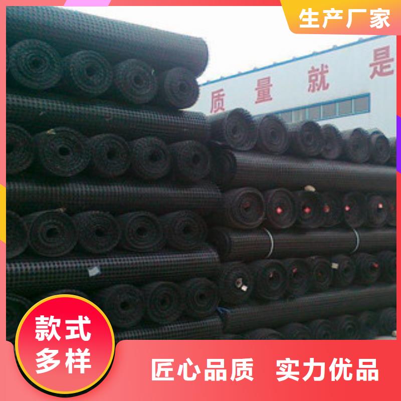 双向塑料格栅三维植被网工厂批发