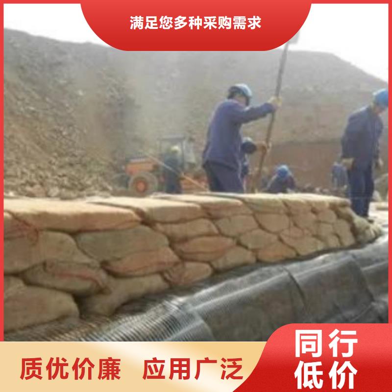 【单向塑料格栅塑料土工格栅厂家现货供应】