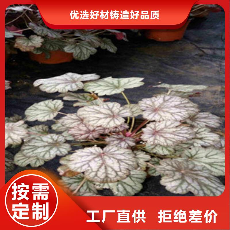 花海景观花海景观工程制造厂家