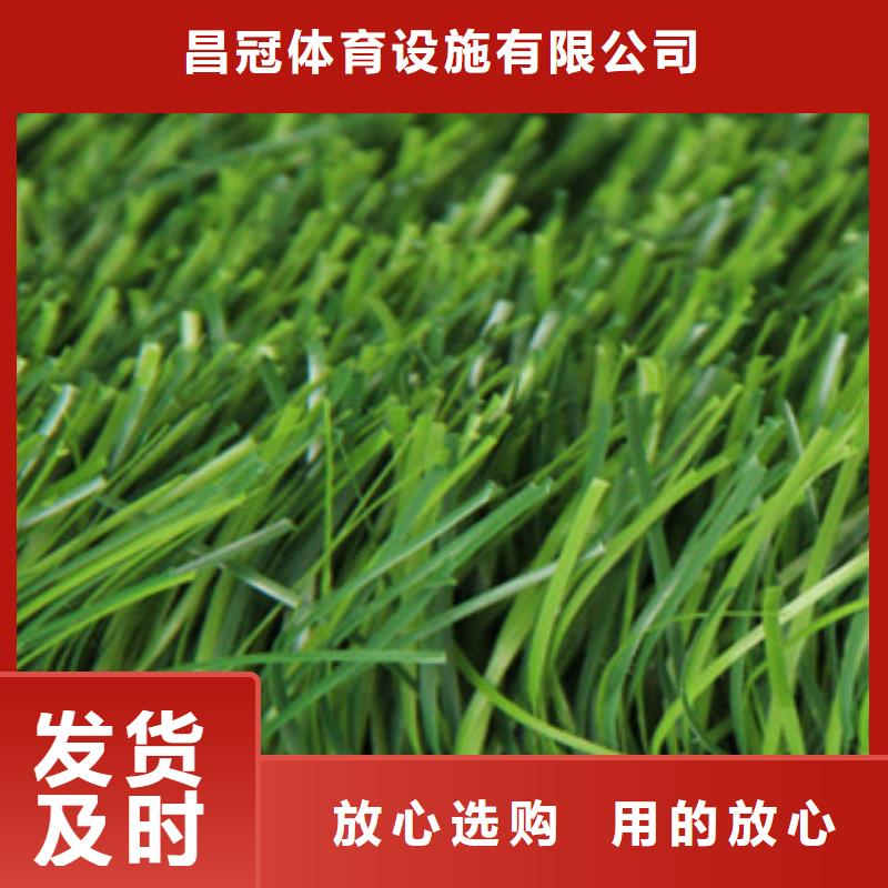 安庆足球场人造草坪哪家好