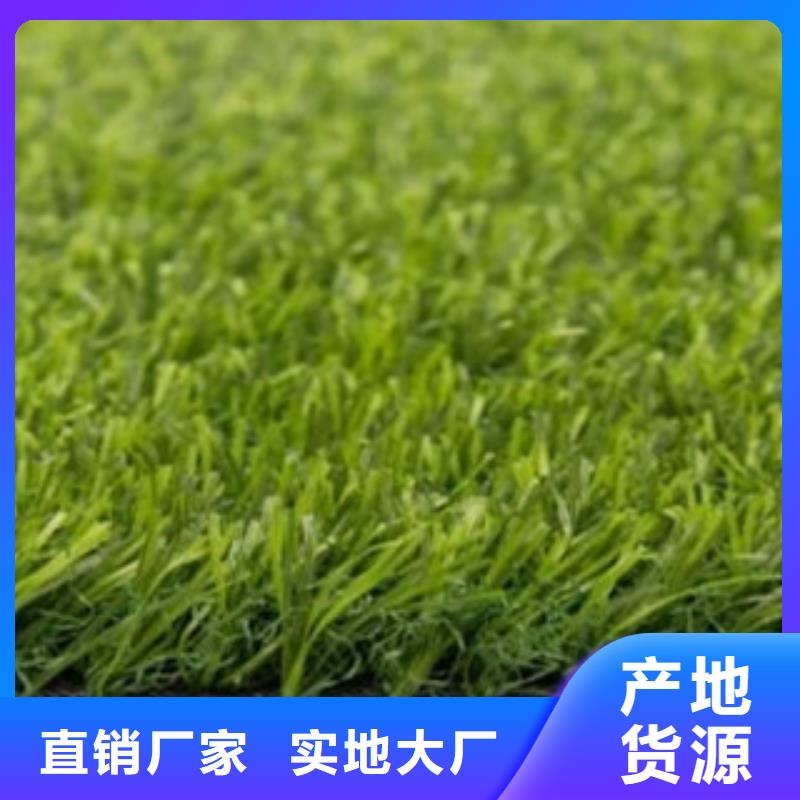昭通门球场人造草坪多少钱每平米