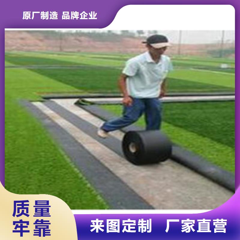 郑州人造草坪多少钱每平米