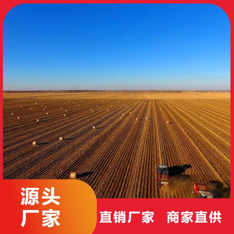 打捆机【卡斯罗犬】源头厂家经验丰富