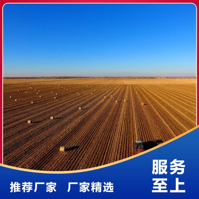 甘南捡拾打捆机价格