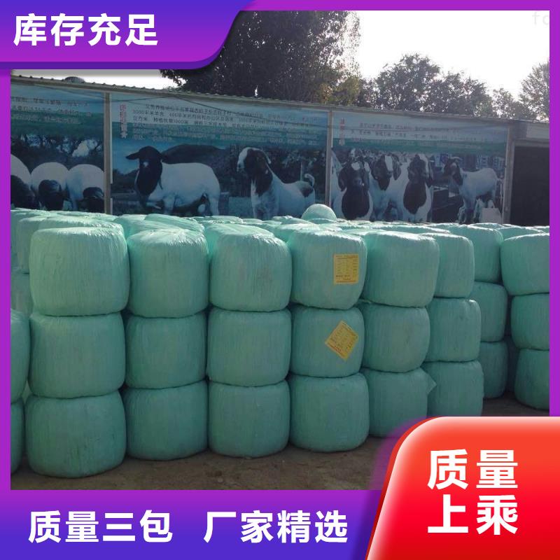 【打捆包膜机罗威纳犬精工打造】