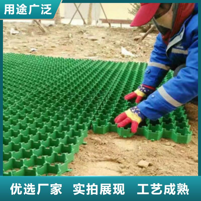 环保植草格膨润土防水毯厂家支持拿样