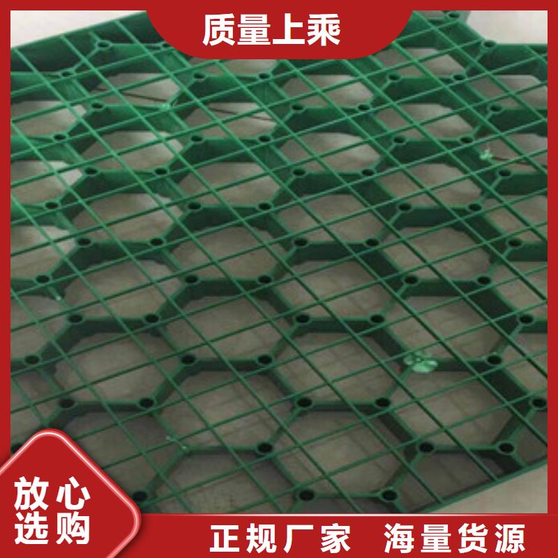 环保植草格,【生态袋厂家】免费回电