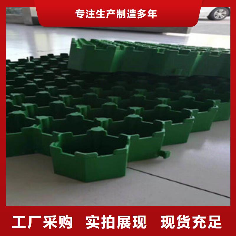 环保植草格土工膜厂家厂家直销售后完善