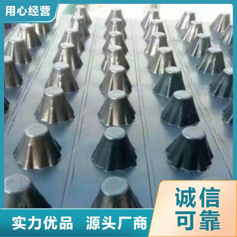 【塑料排水板】土工膜厂家精工细致打造