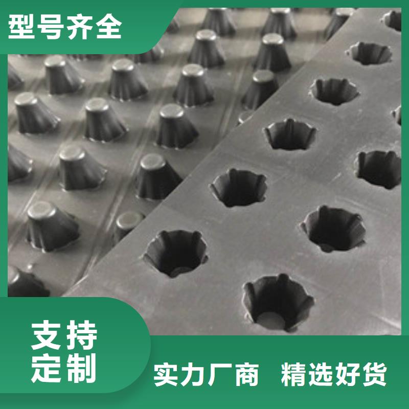 【塑料排水板】土工布厂家定制不额外收费