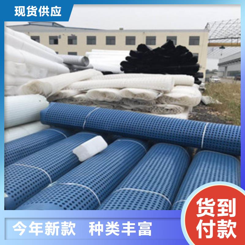 塑料排水板_排水板厂家细节之处更加用心