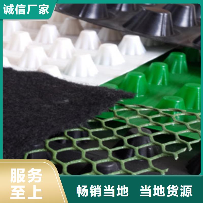 【塑料排水板】蓄排水板厂家优良材质