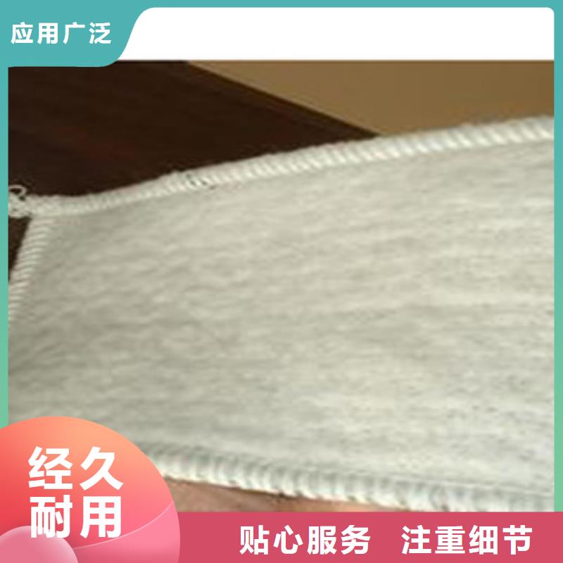 防水毯植草格厂家设计制造销售服务一体