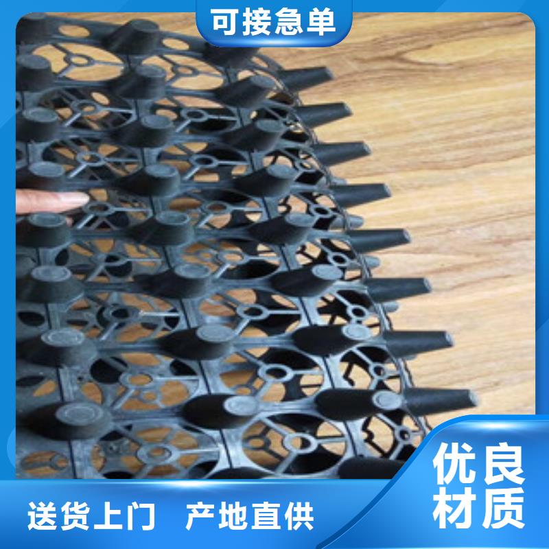 蓄排水板,膨润土防水毯厂家源头厂家经验丰富